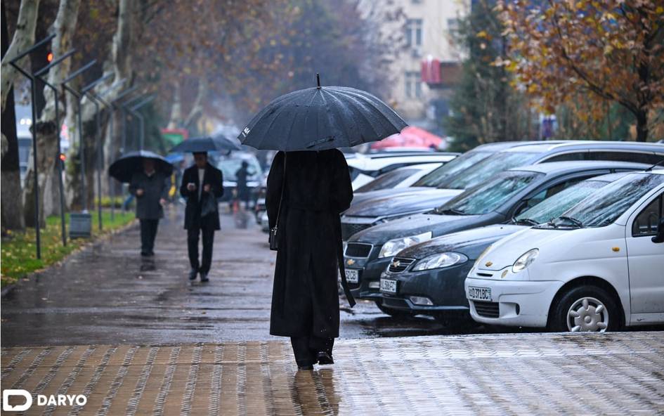 На этой неделе в Узбекистане ожидается дождливая погода